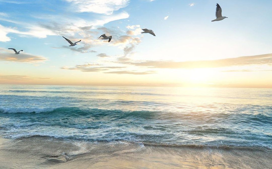 Trebamo li “živjeti u trenutku”?