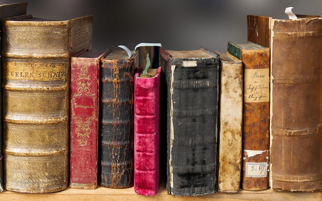 Osvrt na knjigu “Sve su minute bitne”